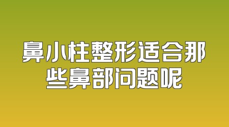鼻小柱整形适合那些鼻部问题呢