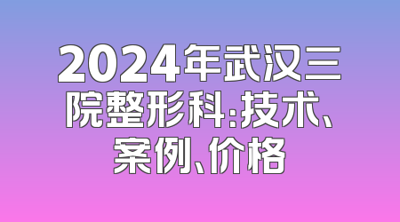 2024年武汉三院整形科：技术、案例、价格