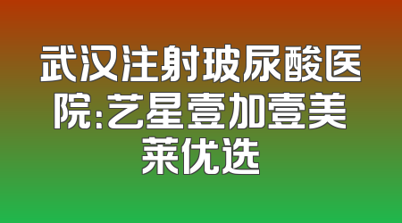 武汉注射玻尿酸医院：艺星壹加壹美莱优选