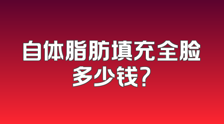 自体脂肪填充全脸多少钱？