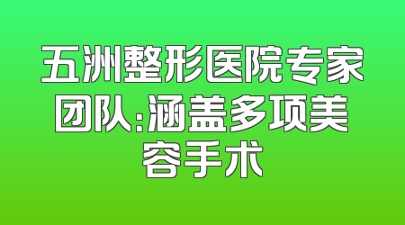 五洲整形医院专家团队：涵盖多项美容手术