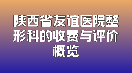 陕西省友谊医院整形科的收费与评价概览