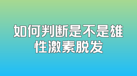 如何判断是不是雄性激素脱发