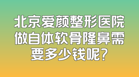 北京爱颜整形医院做自体软骨隆鼻需要多少钱呢？