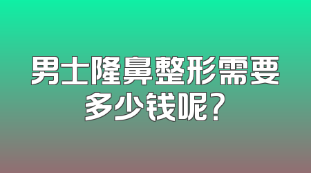 男士隆鼻整形需要多少钱呢?