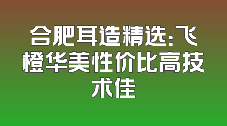 合肥耳造精选：飞橙华美性价比高技术佳