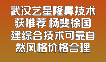 武汉艺星隆鼻技术获推荐 杨斐徐国建综合技术可靠自然风格价格合理
