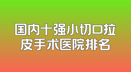 国内十强小切口拉皮手术医院排名