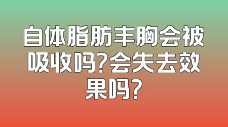 自体脂肪丰胸会被吸收吗？会失去效果吗？
