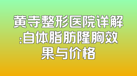 黄寺整形医院详解：自体脂肪隆胸效果与价格