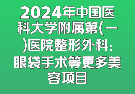 2024年中国医科大学附属第(一)医院整形外科：眼袋手术等更多美容项目