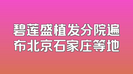 碧莲盛植发分院遍布北京石家庄等地