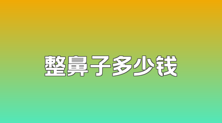整鼻子多少钱