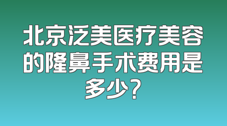 北京泛美医疗美容的隆鼻手术费用是多少？