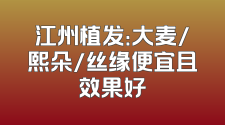 江州植发：大麦/熙朵/丝缘便宜且效果好