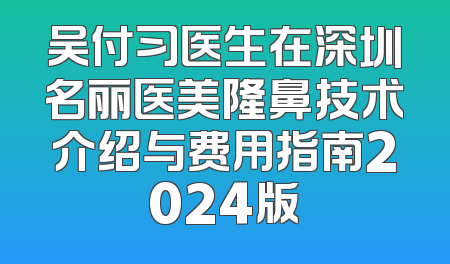 吴付习医生在深圳名丽医美隆鼻技术介绍与费用指南2024版