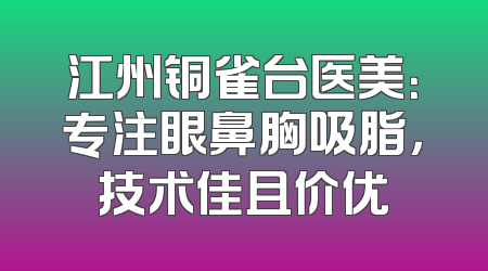江州铜雀台医美：专注眼鼻胸吸脂，技术佳且价优