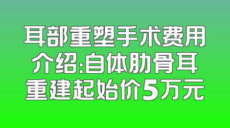 耳部重塑手术费用介绍：自体肋骨耳重建起始价5万元