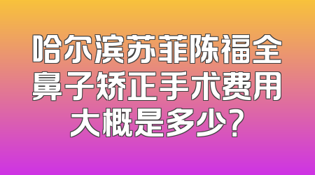 哈尔滨苏菲陈福全鼻子矫正手术费用大概是多少？