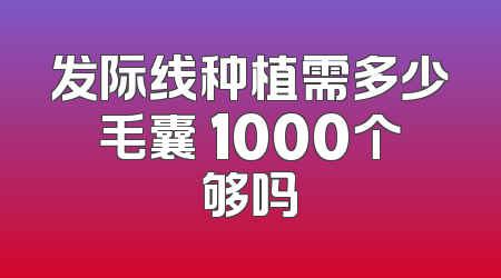 发际线种植需多少毛囊 1000个够吗