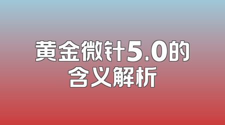 黄金微针5.0的含义解析
