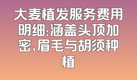大麦植发服务费用明细：涵盖头顶加密、眉毛与胡须种植