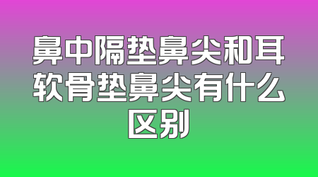 鼻中隔垫鼻尖和耳软骨垫鼻尖有什么区别