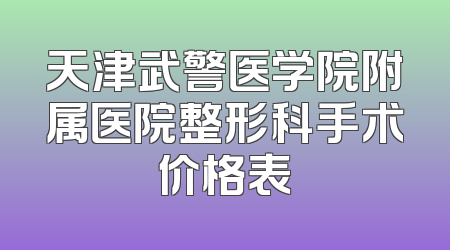 天津武警医学院附属医院整形科手术价格表