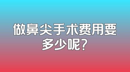 做鼻尖手术费用要多少呢？