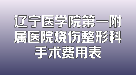 辽宁医学院第一附属医院烧伤整形科手术费用表