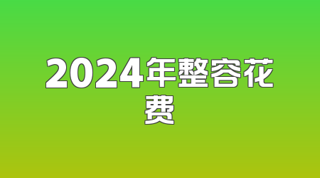 2024年整容花费
