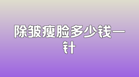 除皱瘦脸多少钱一针