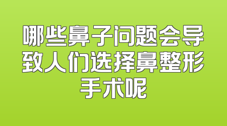 哪些鼻子问题会导致人们选择鼻整形手术呢