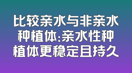 比较亲水与非亲水种植体：亲水性种植体更稳定且持久