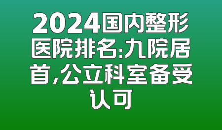 2024国内整形医院排名：九院居首，公立科室备受认可