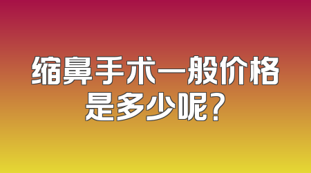 缩鼻手术一般价格是多少呢?