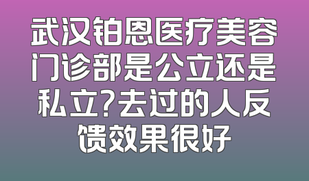武汉铂恩医疗美容门诊部是公立还是私立？去过的人反馈效果很好