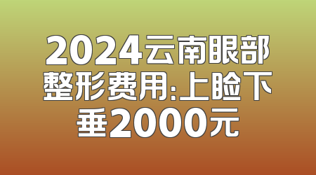 2024云南眼部整形费用：上睑下垂2000元
