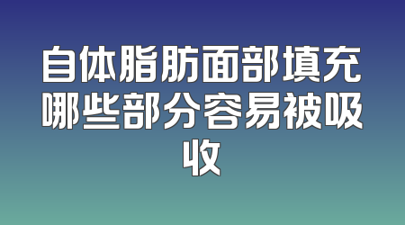 自体脂肪面部填充哪些部分容易被吸收