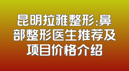 昆明拉雅整形：鼻部整形医生推荐及项目价格介绍