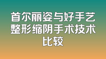 首尔丽姿与好手艺整形缩阴手术技术比较