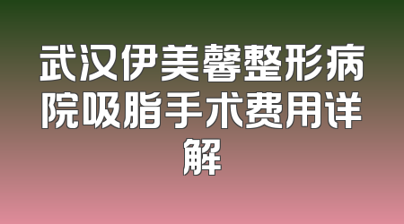 武汉伊美馨整形病院吸脂手术费用详解