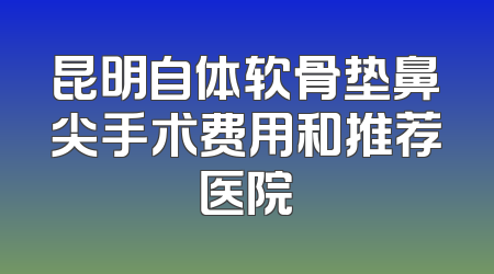 昆明自体软骨垫鼻尖手术费用和推荐医院