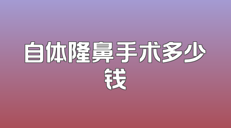 自体隆鼻手术多少钱