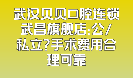 武汉贝贝口腔连锁武昌旗舰店：公/私立？手术费用合理可靠