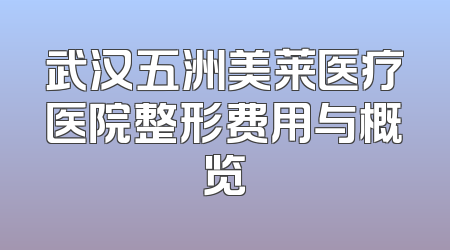 武汉五洲美莱医疗医院整形费用与概览