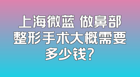上海微蓝​做鼻部整形手术大概需要多少钱？