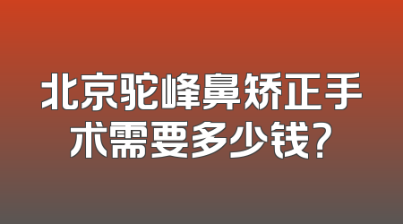 北京驼峰鼻矫正手术需要多少钱？