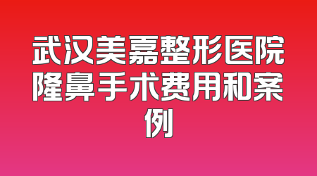 武汉美嘉整形医院隆鼻手术费用和案例