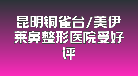 昆明铜雀台/美伊莱鼻整形医院受好评